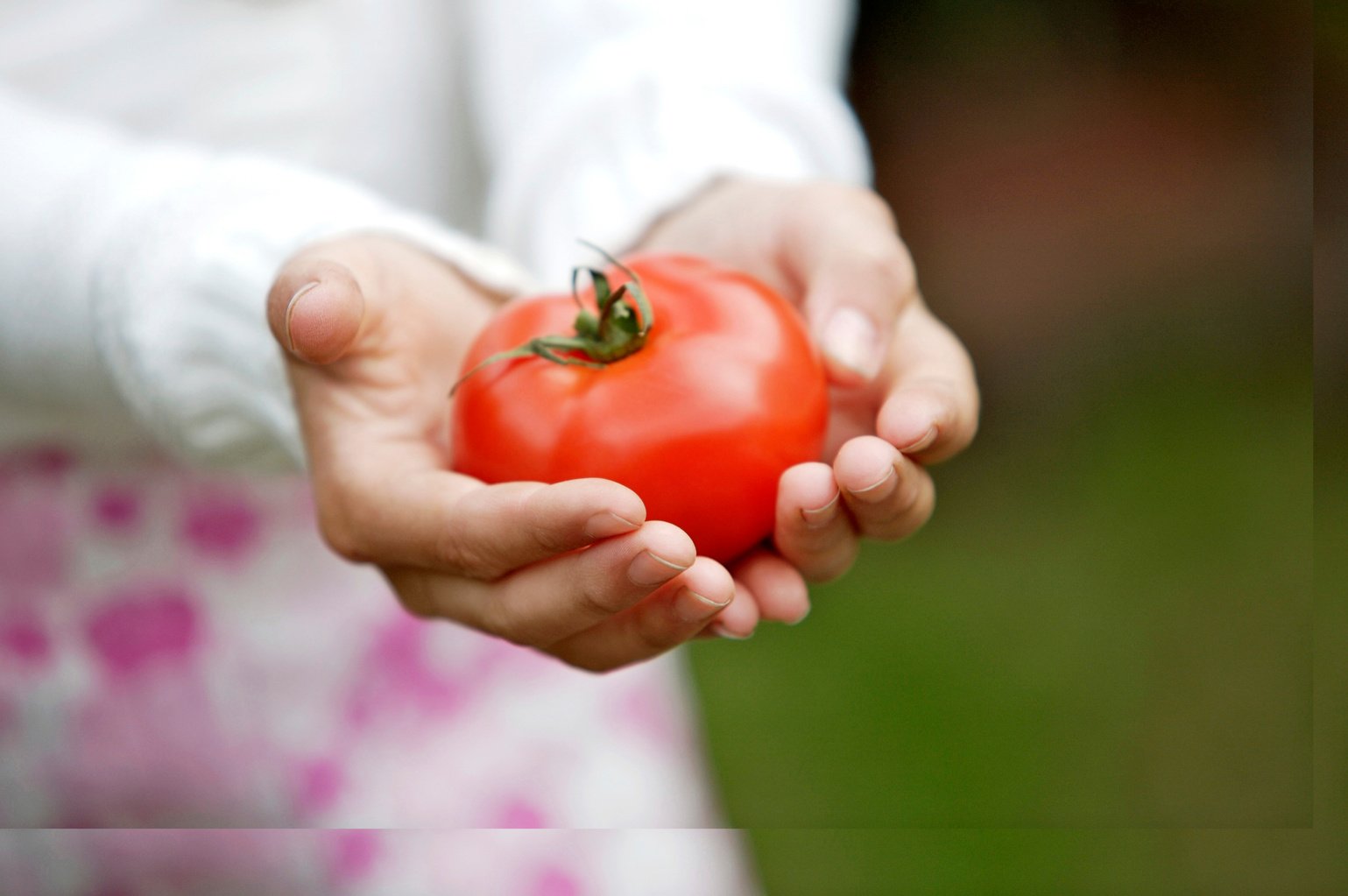 Girl holding a tomato